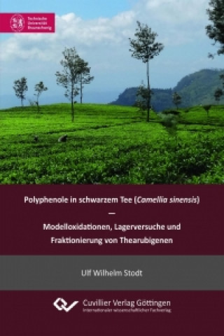 Книга Polyphenole in schwarzem Tee (Camellia sinensis) - Modelloxidationen, Lagerversuche und Fraktionierung von Thearubigenen Ulf Wilhelm Stodt