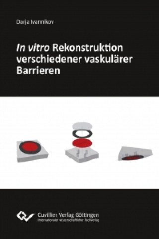 Carte In vitro Rekonstruktion verschiedener vaskulärer Barrieren Darja Ivannikov