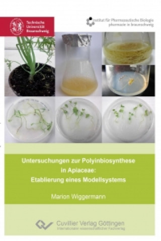 Livre Untersuchungen zur Polyinbiosynthese in Apiaceae: Etablierung eines Modellsystems Marion Wiggermann