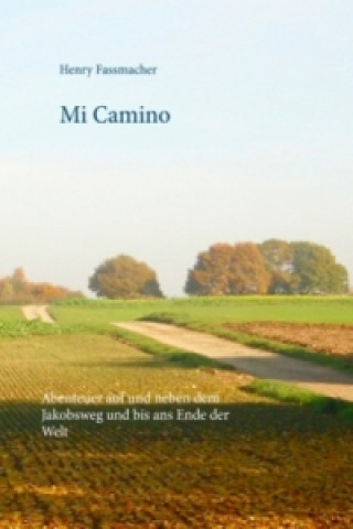 Kniha Mi Camino Henry Fassmacher