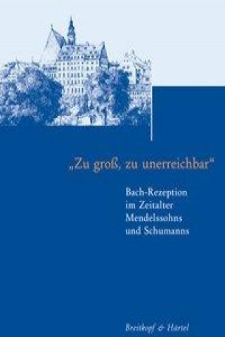 Книга Zu groß, zu unerreichbar Anselm Hartinger