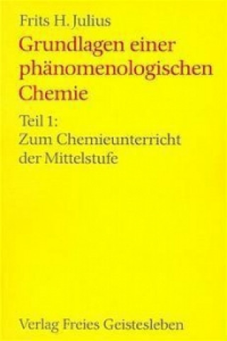 Könyv Grundlagen einer phänomenologischen Chemie Frits H Julius