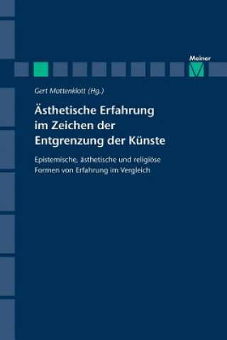 Kniha AEsthetische Erfahrung im Zeichen der Entgrenzung der Kunste Gert Mattenklott