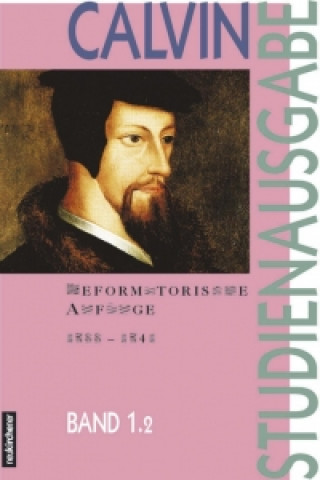 Kniha Calvin-Studienausgabe Johannes Calvin