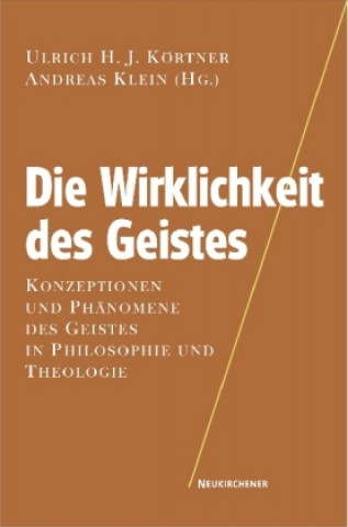 Livre Die Wirklichkeit des Geistes Andreas Klein