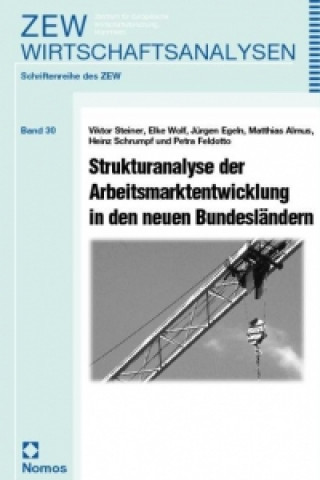 Libro Strukturanalyse der Arbeitsmarktentwicklung in den neuen Bundesländern Viktor Steiner