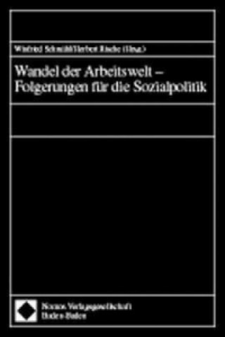 Könyv Wandel der Arbeitswelt, Folgerungen für die Sozialpolitik Winfried Schmähl