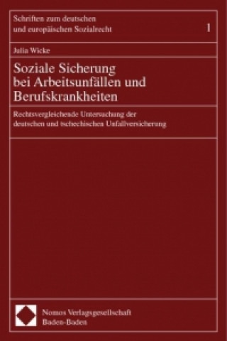 Książka Soziale Sicherung bei Arbeitsunfällen und Berufskrankheiten Julia Wicke