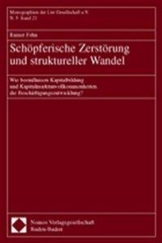 Kniha Schöpferische Zerstörung und struktureller Wandel Rainer Fehn