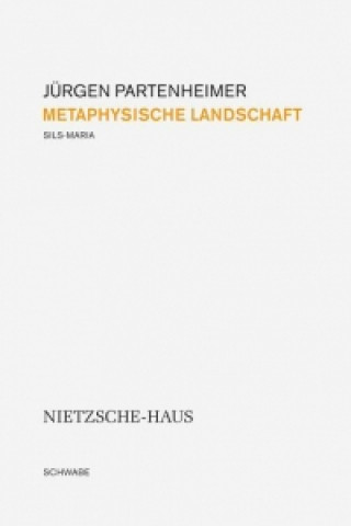 Książka Partenheimer, J: Metaphysische Landschaft Jürgen Partenheimer