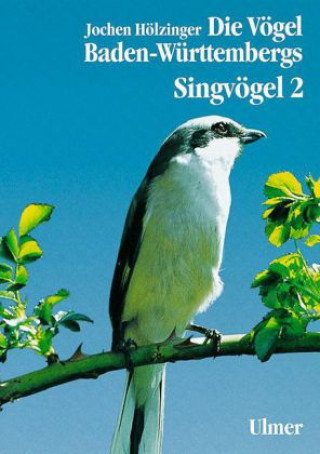 Buch Singvögel 2 Jochen Hölzinger