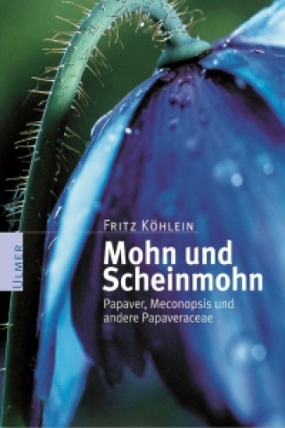 Kniha Mohn und Scheinmohn Fritz Köhlein