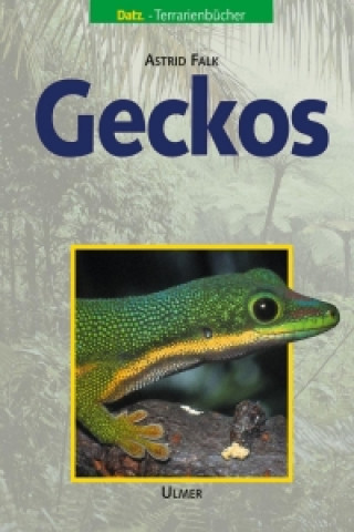Carte Geckos Astrid Falk