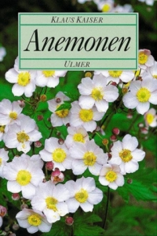 Kniha Anemonen Klaus Kaiser