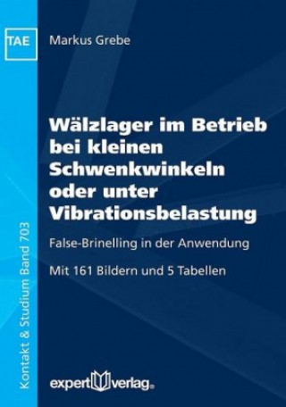 Kniha False-Brinelling und Stillstandsmarkierungen bei Wälzlagern Markus Grebe