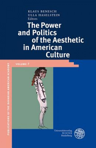 Könyv The Power and Politics of the Aesthetic in American Culture Klaus Benesch