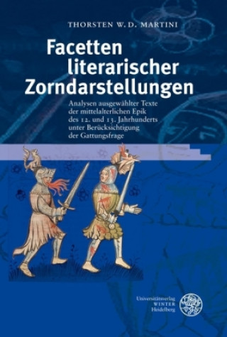 Książka Facetten literarischer Zorndarstellungen Thorsten W. D. Martini