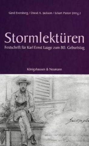 Kniha Stormlektüren Roland Berbig