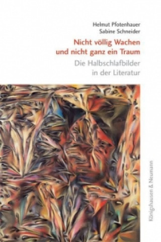 Kniha Nicht völlig Wachen und nicht ganz im Traum Helmut Pfotenhauer