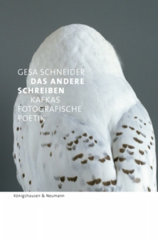 Livre Das Andere schreiben - Kafkas fotografische Poetik Gesa Schneider