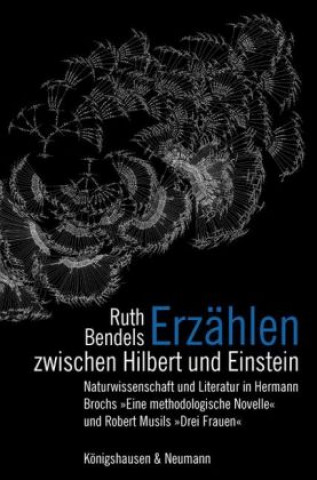 Carte Erzählen zwischen Hilbert und Einstein Ruth Bendels