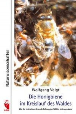 Könyv Die Honigbiene im Kreislauf des Waldes Wolfgang Voigt