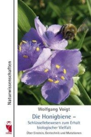 Buch Die Honigbiene - Schlüssellebewesen zum Erhalt biologischer Vielfalt Wolfgang Voigt