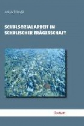 Könyv Schulsozialarbeit in schulischer Trägerschaft Anja Terner