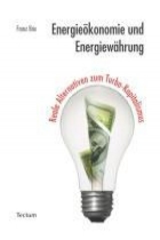Kniha Energieökonomie und Energiewährung Franz Brix