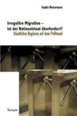 Kniha Irreguläre Migration - ist der Nationalstaat überfordert? Sophie Westermann