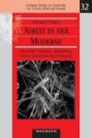 Livre Asbest in der Moderne Wolfgang E. Höper