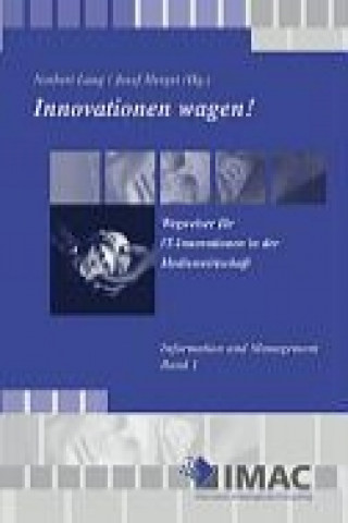 Könyv Innovationen wagen! Wegweiser für IT - Innovationen 