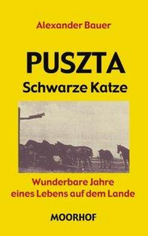 Kniha Puszta - Schwarze Katze Alexander Bauer