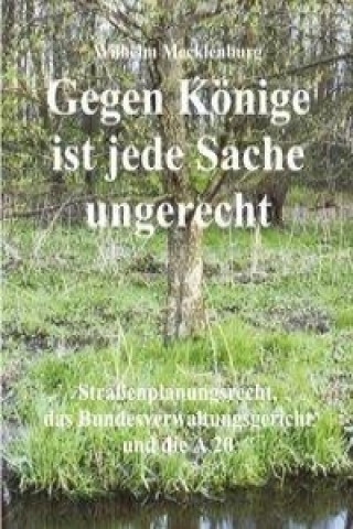 Buch Gegen Könige ist jede Sache ungerecht Wilhelm Mecklenburg