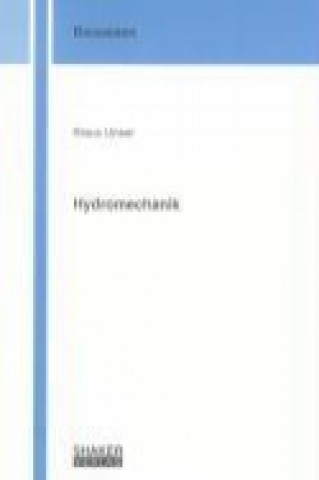 Buch Hydromechanik Klaus Unser