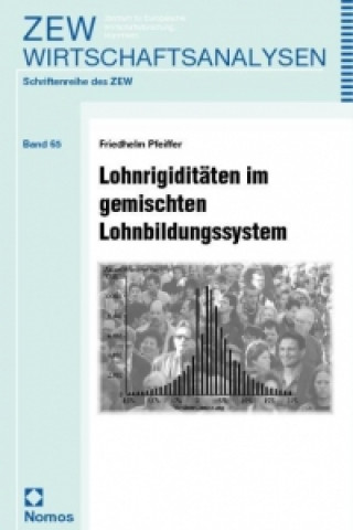 Книга Lohnrigiditäten im gemischten Lohnbildungssystem Friedhelm Pfeiffer