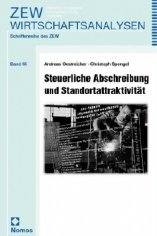 Kniha Steuerliche Abschreibung und Standortattraktivität Andreas Oestreicher