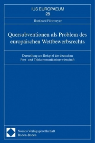 Könyv Quersubventionen als Problem des europäischen Wettbewerbsrechts Burkhard Führmeyer