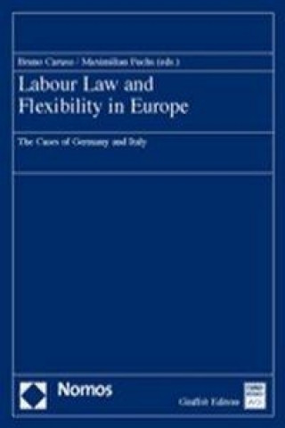 Kniha Labour Law and Flexibility in Europe Bruno Caruso