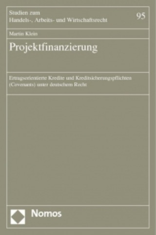 Kniha Projektfinanzierung Martin Klein