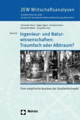 Książka Ingenieur- und Naturwissenschaften: Traumfach oder Albtraum? Christoph Heine