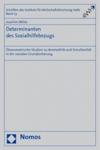 Kniha Determinanten des Sozialhilfebezugs Joachim Wilde