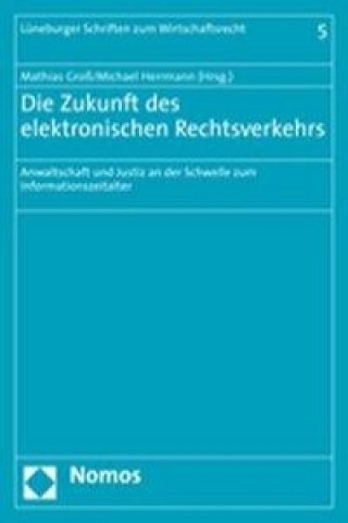 Könyv Die Zukunft des elektronischen Rechtsverkehrs Mathias Gross