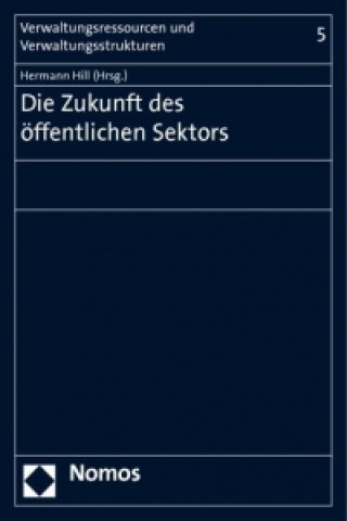 Könyv Die Zukunft des öffentlichen Sektors Hermann Hill