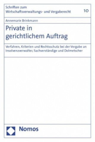 Könyv Private in gerichtlichem Auftrag Annemarie Brinkmann