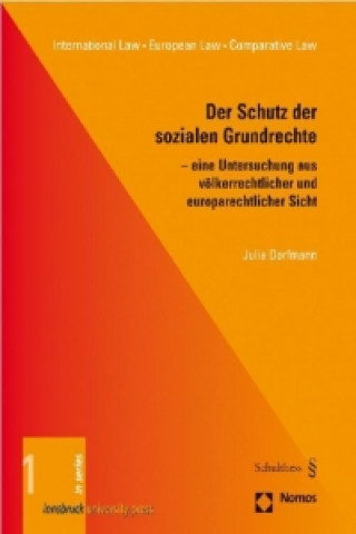 Könyv Der Schutz der sozialen Grundrechte Julia Dorfmann