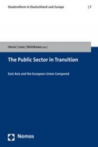 Kniha The Public Sector in Transition Joachim Jens Hesse
