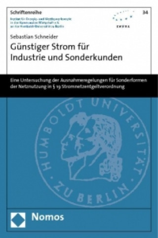 Könyv Günstiger Strom für Industrie und Sonderkunden Sebastian Schneider