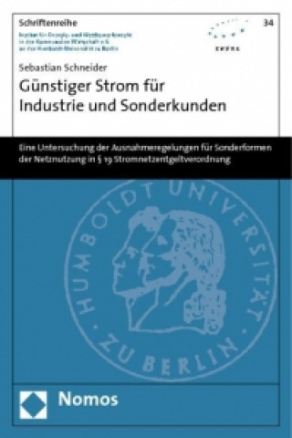 Book Günstiger Strom für Industrie und Sonderkunden Sebastian Schneider