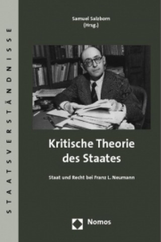 Книга Kritische Theorie des Staates Samuel Salzborn